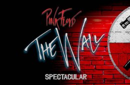 Imagen muestra de la actividad The Wall Spectacular