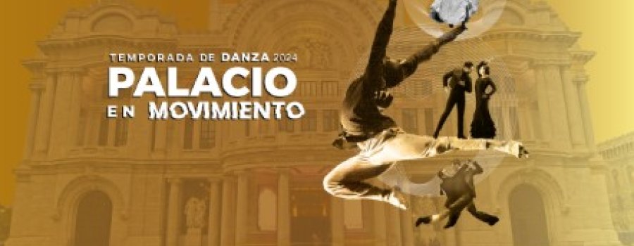 Flamenco: A compás de un latido