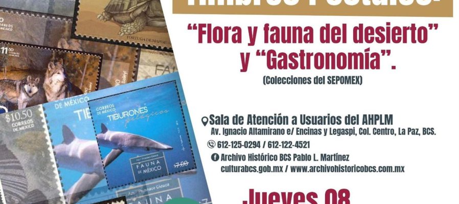 Flora y fauna del desierto y Gastronomía