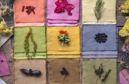 Imagen muestra de la actividad Tintes naturales. Tradición, técnica y creación