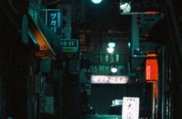 Imagen muestra de la actividad Tokyo - Ga