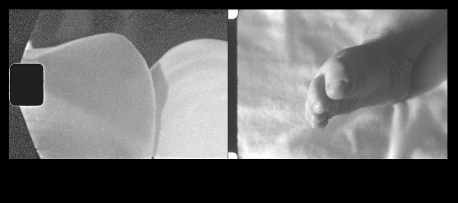 Pedagogía excéntrica + Tomas oblicuas