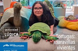 Imagen muestra de la actividad Tortugas: maravillas vivientes