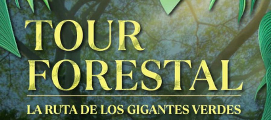 Tour forestal: La ruta de los gigantes