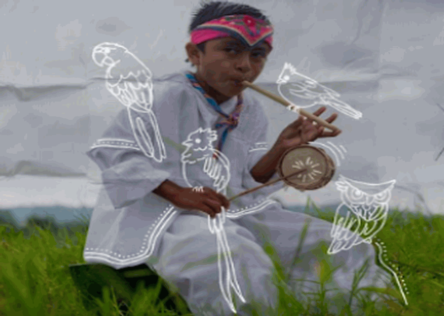 Imagen muestra de la actividad Trazos del cielo