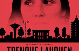 Imagen muestra de la actividad: Trenque Lauquen parte 2