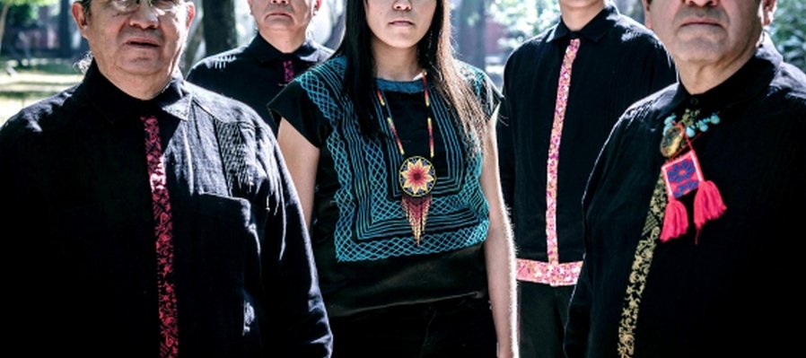 Tribu