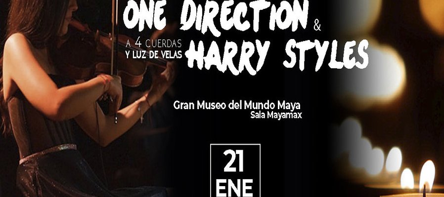 Tributo a One Direction y Harry Styles