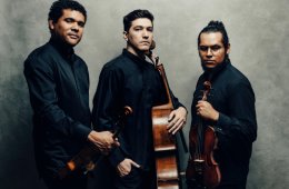 Imagen muestra de la actividad: Trio Kalos