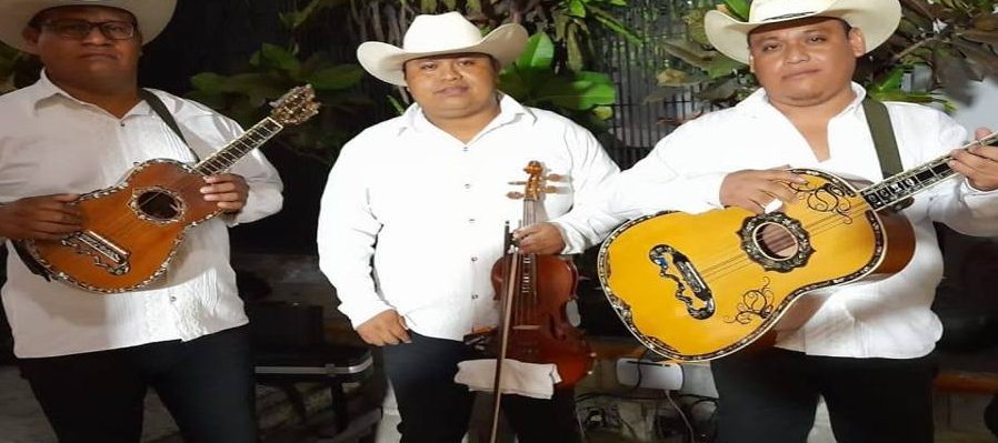 Trío Los Microsónicos