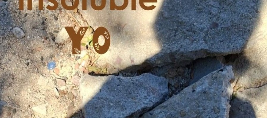 Tu insoluble YO