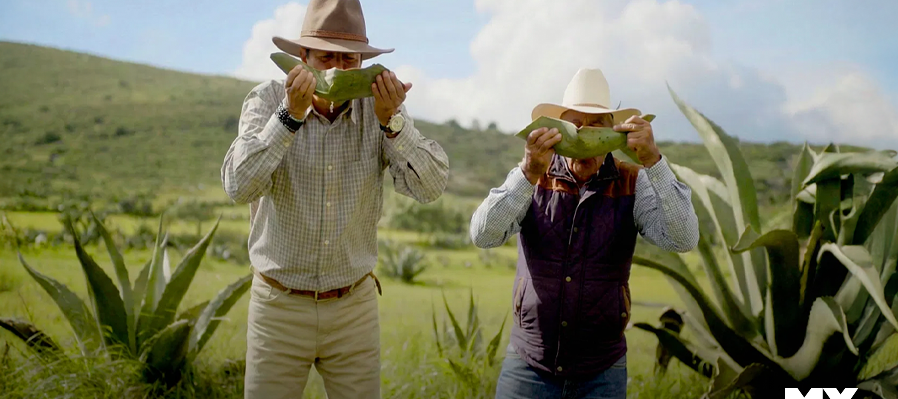 Tulancingo extraordinario