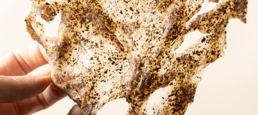 Biotextiles artísticos