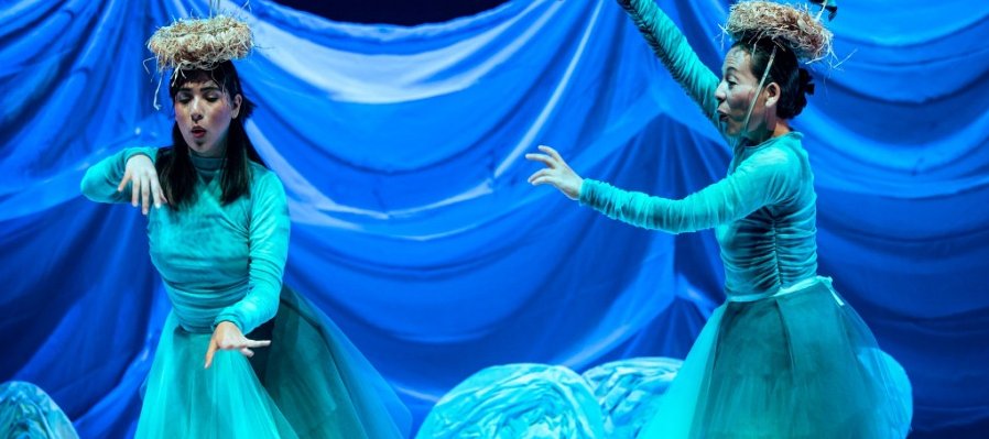 Un cardumen en el cielo y una parvada en el mar