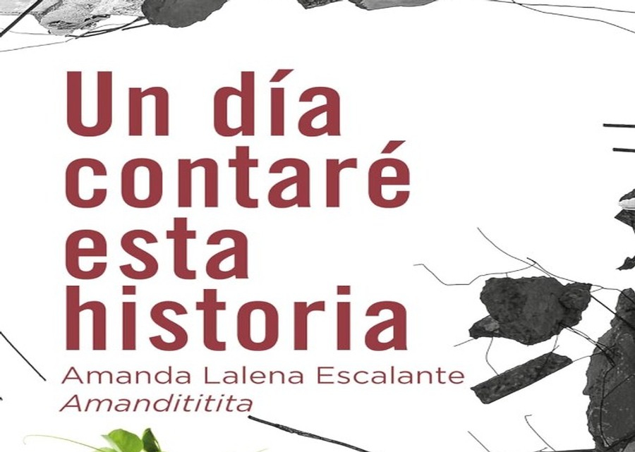 Imagen muestra de la actividad Un día contaré esta historia