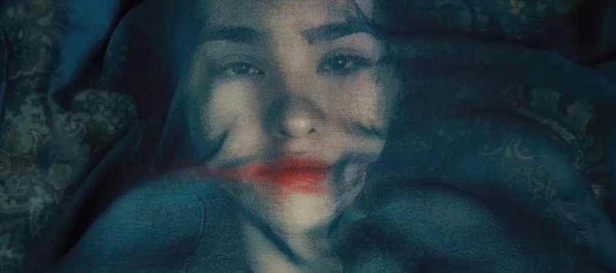 Un zorro bajo una luna rosa