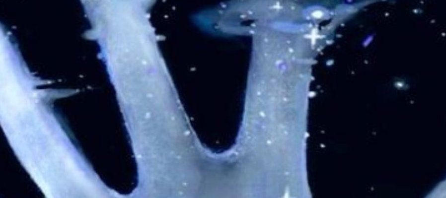 Una visión hacia ti: cartografía a través de la somática