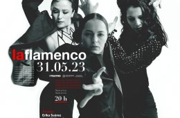 Imagen muestra de la actividad laflamenco