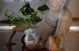 Movimiento vegetal: vínculos interespecie