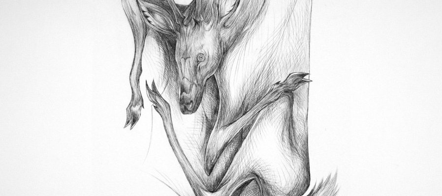 Venado Vol.II