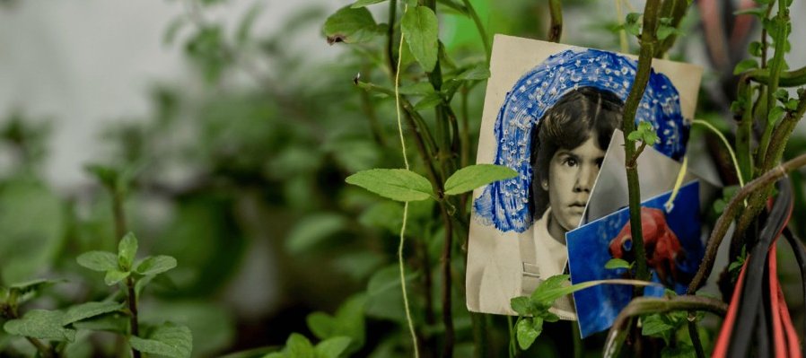Veracruz en siete tiempos.  Una revisión a la Bienal de Arte Veracruz