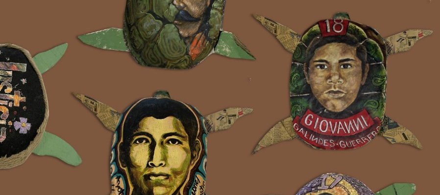 El viaje de las tortugas