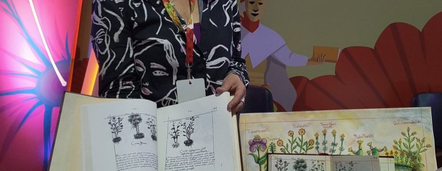El Códice Badiano para Niños