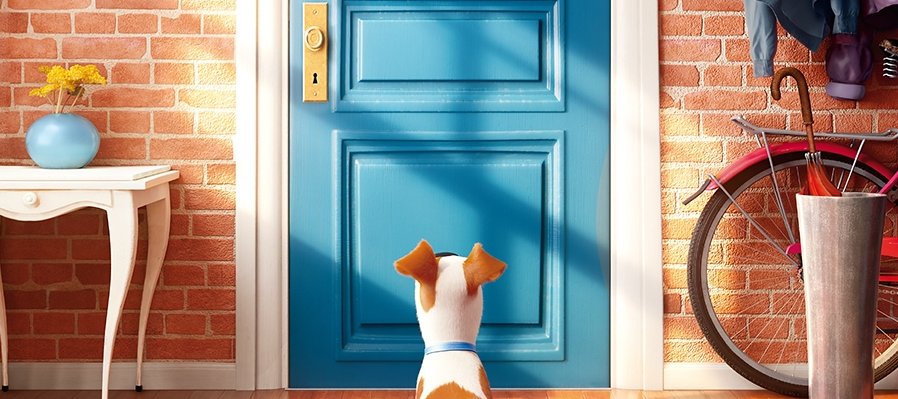 La vida secreta de tus mascotas