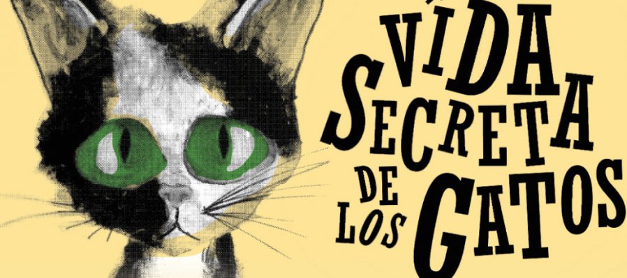 De la vida secreta de los gatos