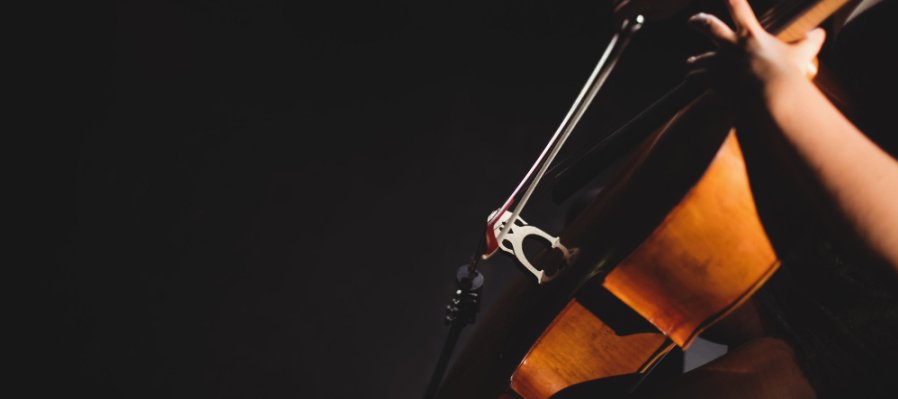 Stradivarius en Viena