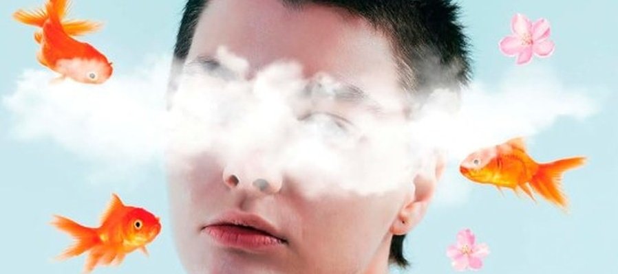 Vimos casas hundirse