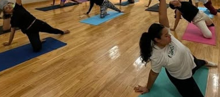 Vinyasa Yoga