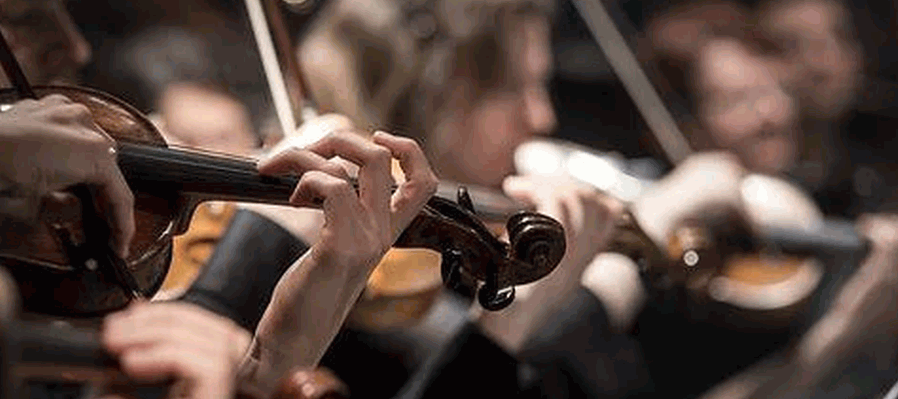 Violin