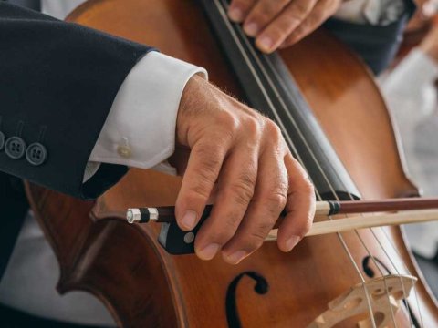 Violonchelo