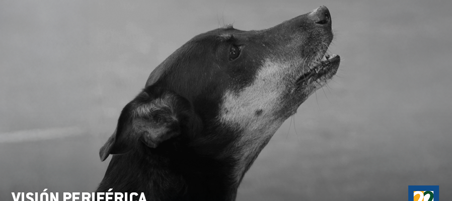 Visión Periférica | La felicidad del sonido