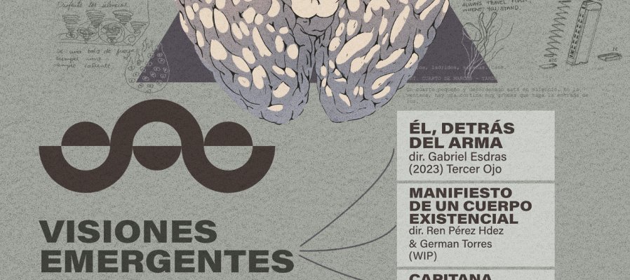 Visiones emergentes de la resistencia