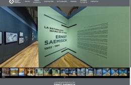 Imagen muestra de la actividad Paseo virtual La Naturaleza Íntima de la Vida, Ernst Sae...