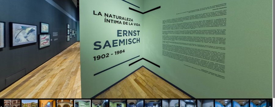 Paseo virtual La Naturaleza Íntima de la Vida, Ernst Saemish.
