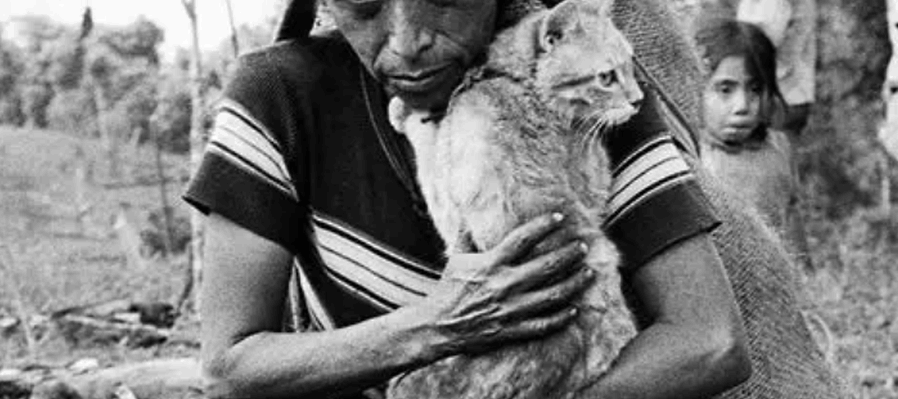 Volver a la tierra del Quetzal