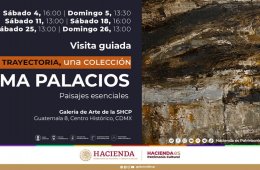 Visita guiada Exposición Irma Palacios. Paisajes esencia...