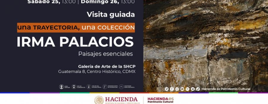 Visita guiada Exposición Irma Palacios. Paisajes esenciales