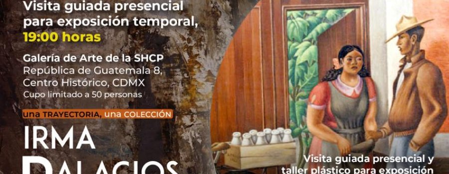 Irma Palacios. Paisajes esenciales y Hacienda es Patrimonio