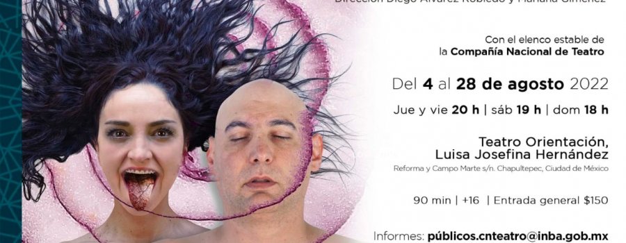 La Lengua en Pedazos