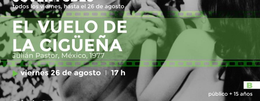 El vuelo de la cigüeña