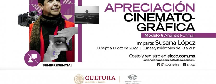 Seminario de Apreciación Cinematográfica Módulo 6. Análisis Formal