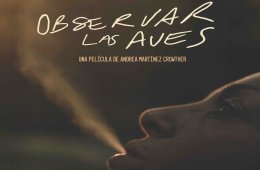 Imagen muestra de la actividad: Observar las aves