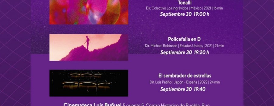 El sembrador de estrellas