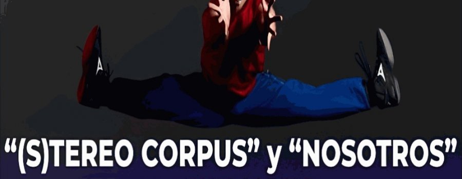 (S)tereo Corpus
