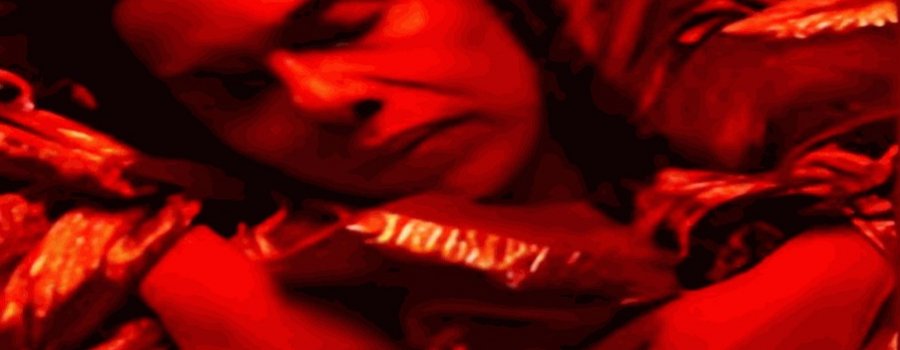Tierra. Ciclo de pensamiento crítico en torno a los ecofeminismos