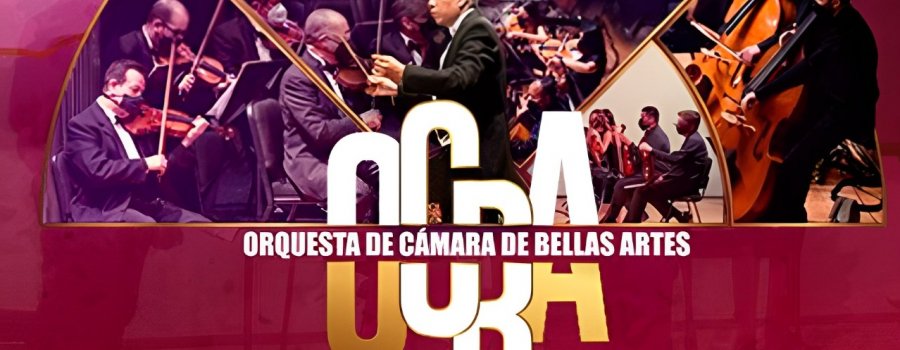 Orquesta de Camara de Bellas Artes. Programa 8